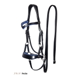 Aruba Side Pull Bitless Bridle And Reins